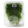 Fresh And Organic Green Lettuce Lollo Bionda 250g