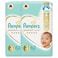 Pampers Premium Care Diapers Size 3 6-10kg Value Pack 62 Diapers Pack of 2