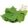 Grape Vine&nbsp;Leaves Pack 225g