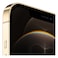Apple iPhone 12 Pro Max 128GB 6.7 Gold  - International warranty
