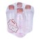 Caseware Super Surprise Pack 4 Pcs Coloured Bottle