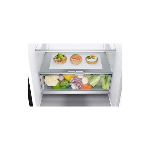 LG GC-B459NQDZ | 341(L) | Bottom Freezer Fridge | Smart Inverter Compressor | Nature FRESH | Door Cooling