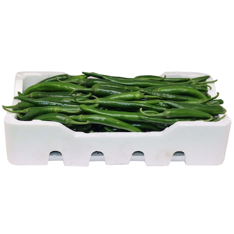 ZEIN CHILI GREEN ZEIN FOAM 51007