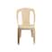 Nilkamal Plastic Monoblock Chair - Brown