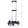 Eazy Kids Universal School Bag TROLLEY - Blue
