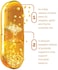 Zahler Candaid Candida Cleanse Powerful Yeast Infection Treatment, 60 Timed Release Capsules