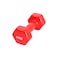 carevas-Dumbbell for Workout Men &amp; Women Fitness Equipment Slimming Body Barbell Home Yoga Training Optional Weight