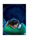 Metal Plate Of Disney Poster Multicolour