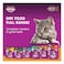 Whiskas Grilled Salmon Dry Food, 1.2kg Bag