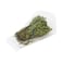 Fresh Lemon Thyme Import Pack Of 50g