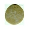 Golden Loaf Large Pizza Base 850g