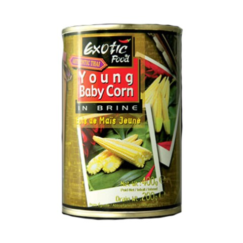 Extotic Food Baby Corn 400GR