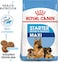 Royal Canin Shn Maxi Starter 4Kg Size Health Nutrition Dog Food, Multicolor,Maxi Starter Dog Dry Food
