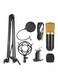 Professional Broadcasting Studio Recording Condenser Microphone Set I2146-A Black