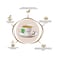 Twinings Pure Green Tea 100 Tea Bags