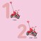 Smartrike - Folding Fun Tricycle Red