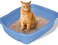 Mumoo Bear Cat Litter Multiple Cat Clumping Ball-Shaped Bentonite Formula Lavender 10L