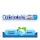 Mentos Mint Chewy Dragees 38g