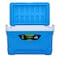 Royalford Insulated Ice Cooler Box, 32L, Rf10479, Premium Quality Polymer, Thermal Insulation