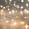 LED Fairy String Lights,ANJAYLIA 10Ft/3M 30leds Firefly String Lights Garden Home Party Wedding Festival Decorations Crafting Battery Operated Lights(Warm White)