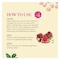 Mielle Organics Pomegranate And Honey Moisturizing And Detangling Shampoo 355ml