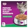 Whiskas Chicken &amp; Tuna Hairball Control Dry Food, Bag of 1.1kg