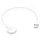 Apple Watch Magnetic Charging Cable 0.3M White