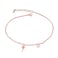 Aiwanto Anklet for Women's Rose Gold Ankle Chain