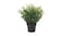 Artificial potted plant, in/outdoor House bamboo, 9 cm