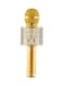 Generic Karaoke Mic With Bluetooth Speaker Gold/Silver