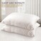 Hotel Linen Klub 1 PC Quilted Pillow Queen (50 x75cm) - Outer Cover: 144TC Cotton Blend Fabric, Filling: 650grams Soft Fiber, Diamond Quilt Pattern
