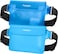 Spigen Aqua Shield Waterproof Pouch Bag A620, Dry Bag With Adjustable Waist Strap For Beach Swimming Fishing Camping Canoeing Hiking Kayaking Paddle Boarding &amp; Boating - Sea Blue (2 Pack)