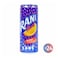 Rani Float Orange Drink with Fruit Pieces Can - 240ml - 24 Pieces