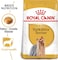 Royal Canin BHN Yorkshire Adult 1.5 kg Breed Health Nutrition Dog Food, Multicolor,  Yorkshire Adult Dog dry food