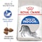 Feline Health Nutrition Indoor 2 KG