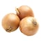 Yellow Onion Bag