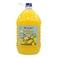 Highlands Cordial Pineapple Soft Drink 5L
