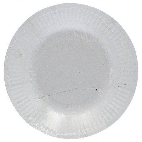 Celebrate Disposable Party Plates 12 pcs