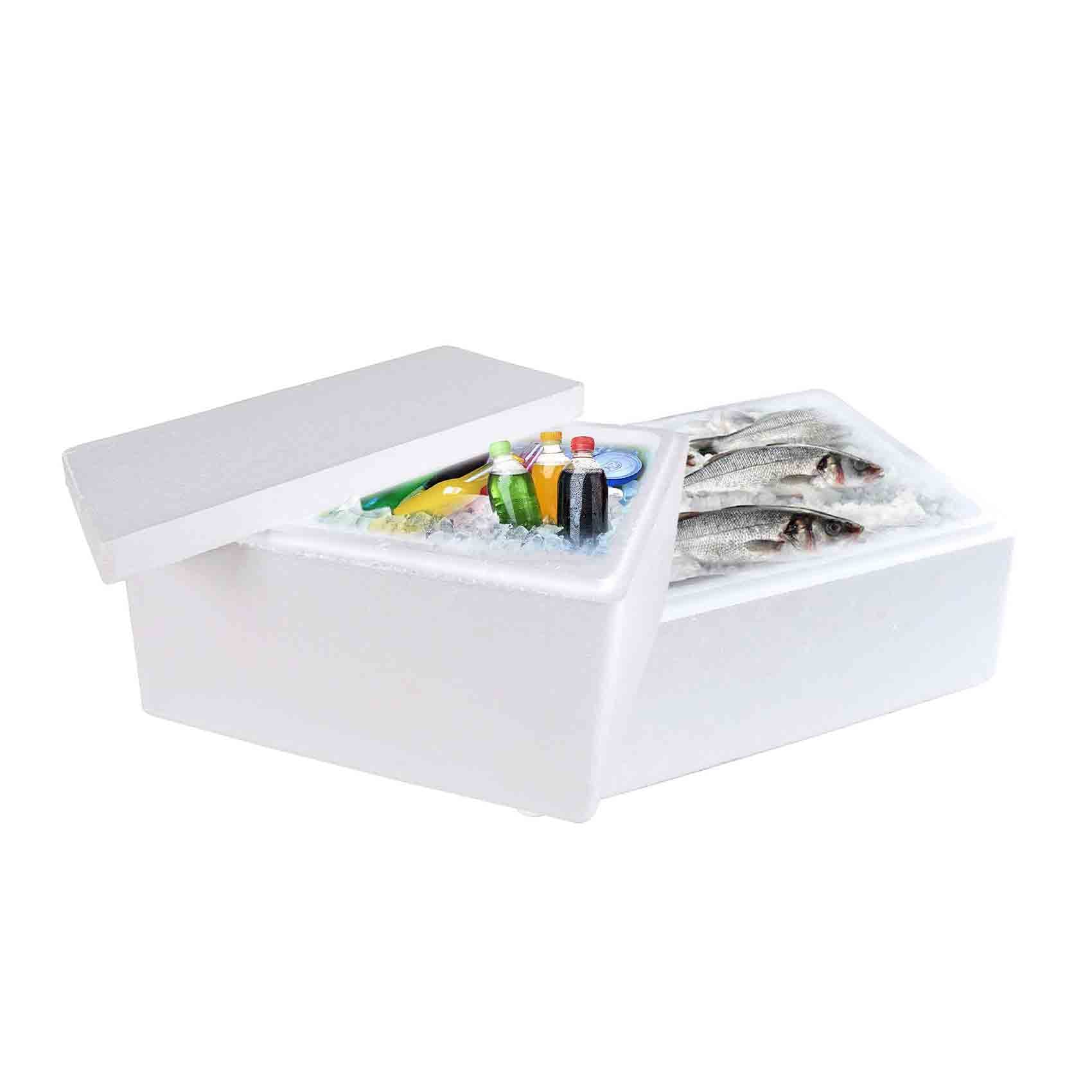 Buy Thermocol Cool Box Medium Online Carrefour KSA