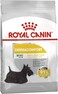 Royal Canin CCN Mini Dermacomfort 3 kg Canine Care Nutrition Dog Food