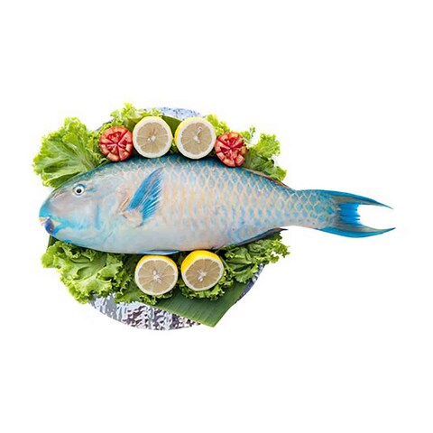 Parrot Fish