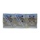 Saudia Vanilla Milk 6 x 200 ml