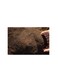 Sphagnum Peat Moss Black High Water Retention Organic Soil Enhancer 3kg