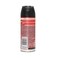 Raid Crawling Insect Killer 300ml