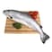 Fresh Norway Salmon Fish 2-3kg