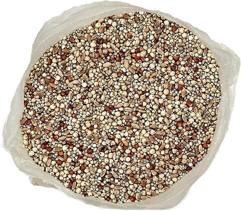 Egardenkart&reg; Daily Budget-Friendly Wild Bird Feed for All types of Wild Birds Small Birds Dove Pigeon Myna Lark Bulbul Sparrow Hoopoe Seed Mix (1)