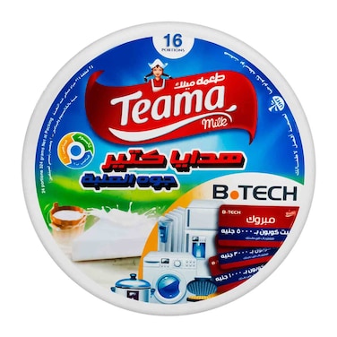 Teama Milk Triangle Cheese - 16 Pieces