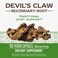 Nature'S Way, Devil'S Claw Secondary Root 480 Mg. 100 Vegetarian Capsules 54327