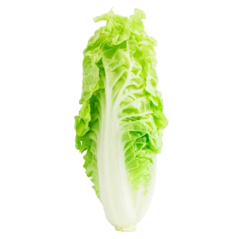 Chinese Cabbage