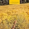 L'occitane En Provence Karit&eacute; Jab&oacute;n Lavanda 100 Gr